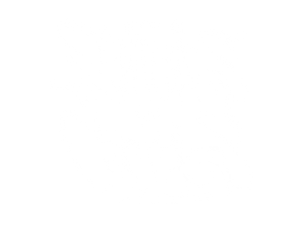 Stitches N' Clothes 