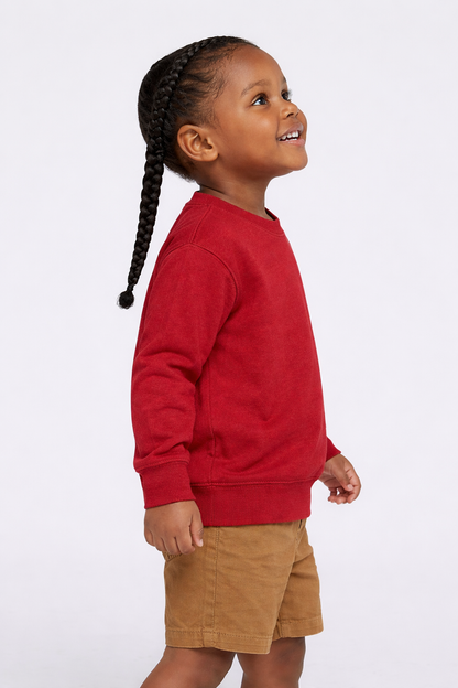 Rabbit Skins® RS3317 Toddler Fleece Sweatshirt